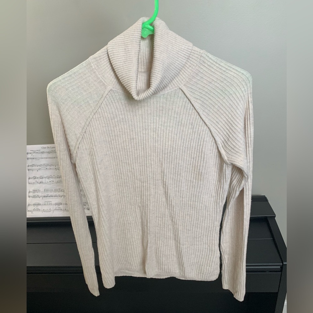 Abercrombie and Fitch Turtleneck Sweater
